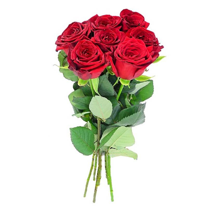 Букет из 7 красных роз Премиум 100 см