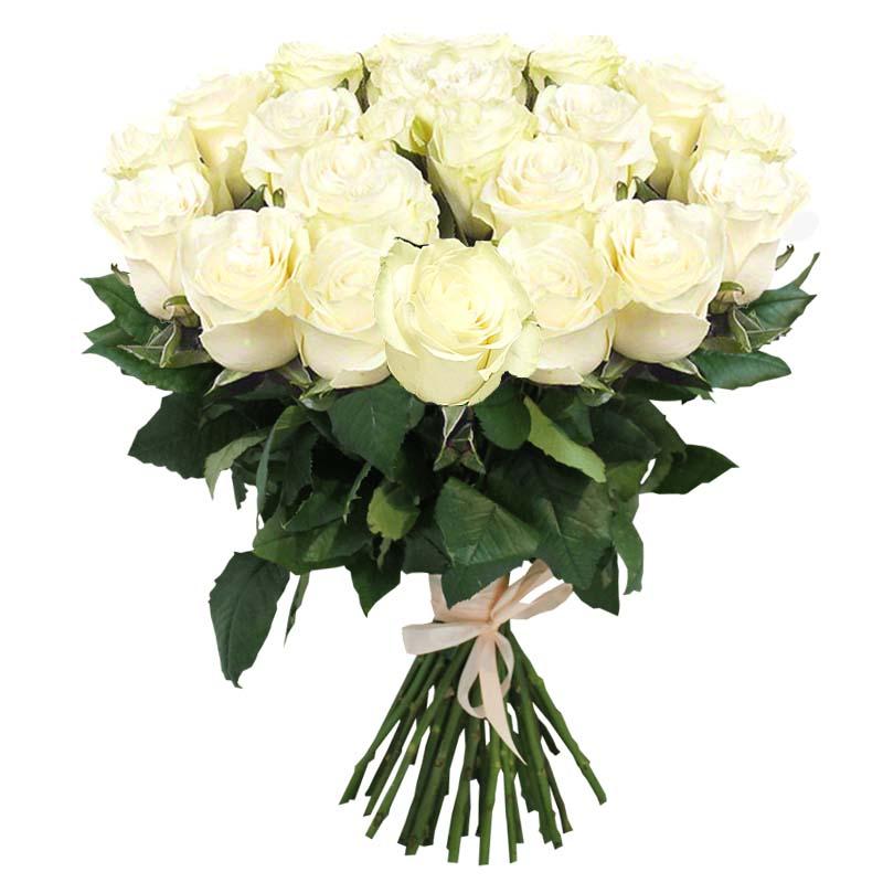 Букет из 21 белой розы Премиум 100 см