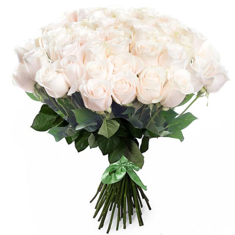 Букет из 51 белой розы Премиум 100 см