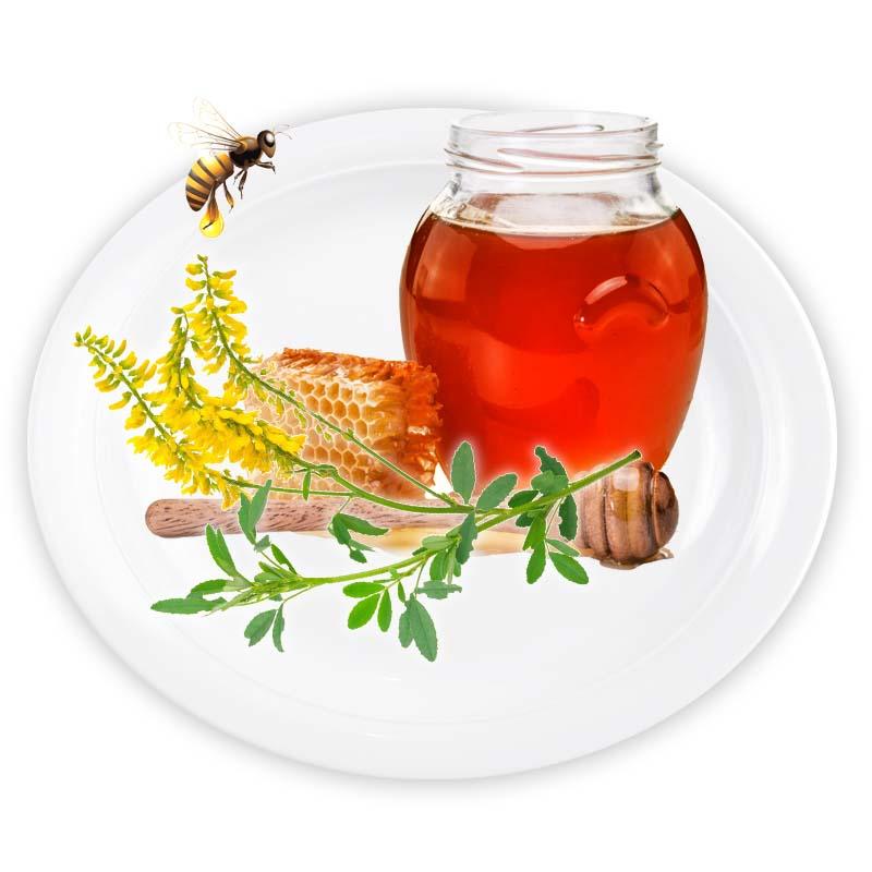 Мёд донниковый 1 л